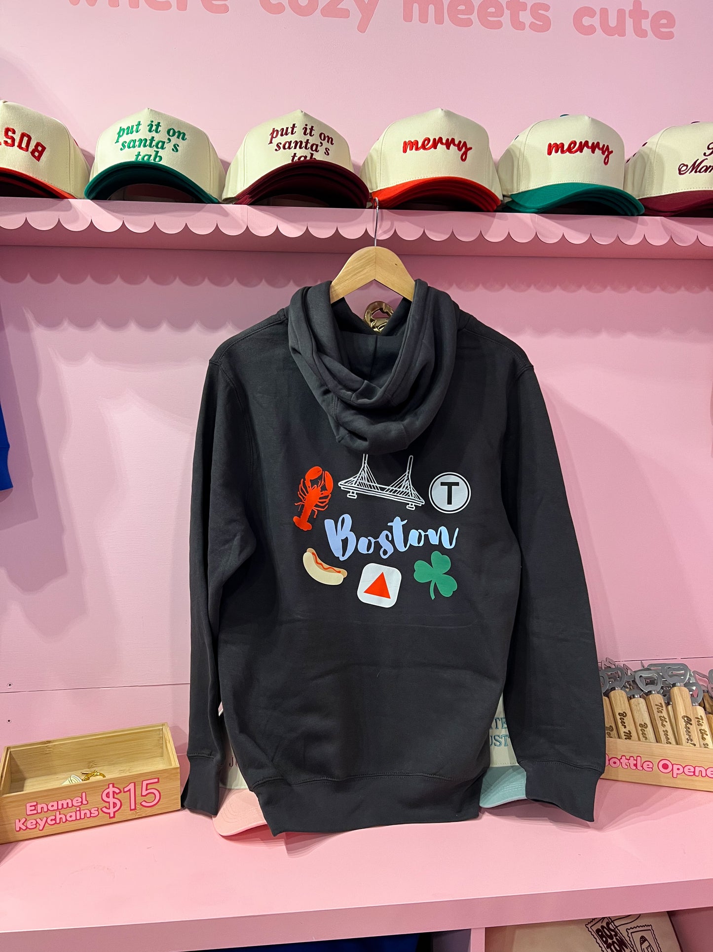 Boston Doodles Hoodie