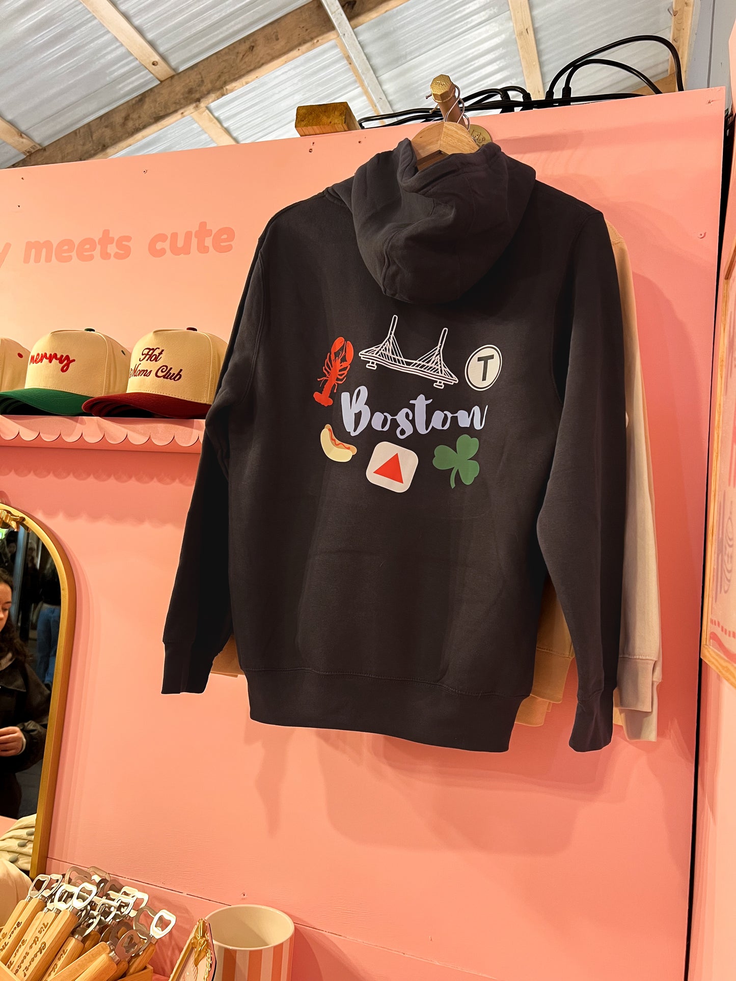 Boston Doodles Hoodie