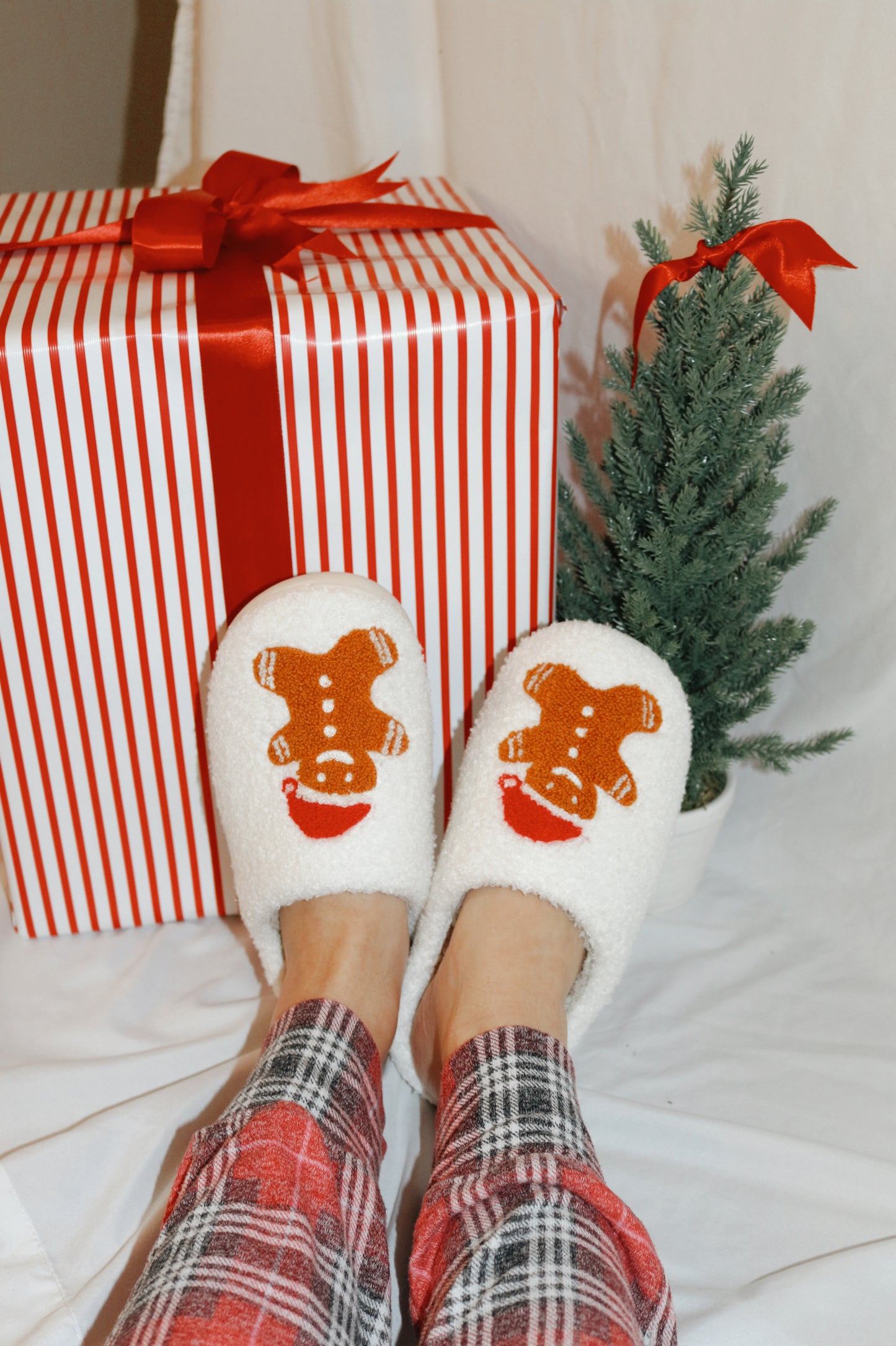 Gingerbread Slippers