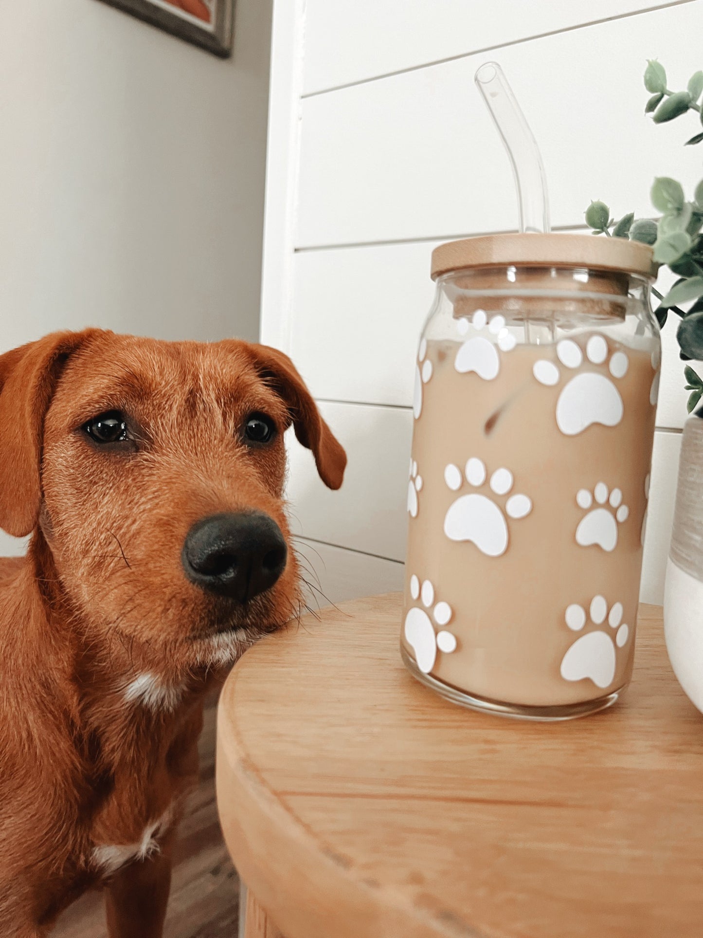 Paw Print Glass Can